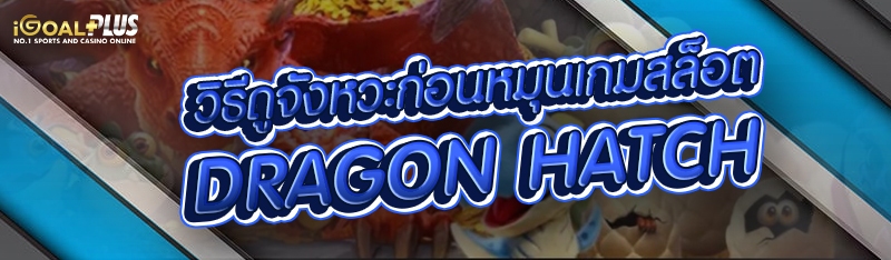 วิธีดูจังหวะก่อนหมุนเกมสล็อต Dragon Hatch